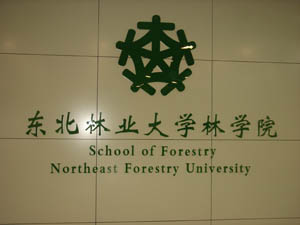 东北林业大学毕业证(东北林业大学毕业证能补办吗)